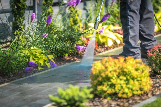 Best Spring Cleaning  in Weyers Cave, VA